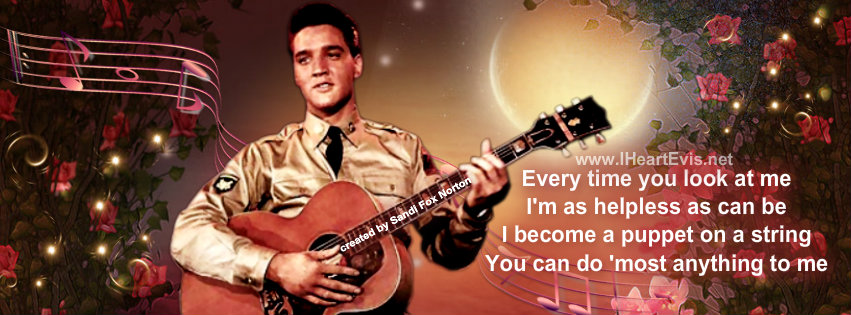 Brand New Elvis Presley Timeline Covers  www.IHeartElvis.net