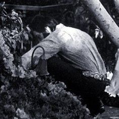 R&Atilde;&copy;sultat de recherche d'images pour "elvis and easters"